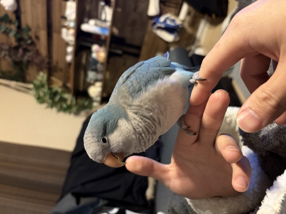 ぷーちゃん