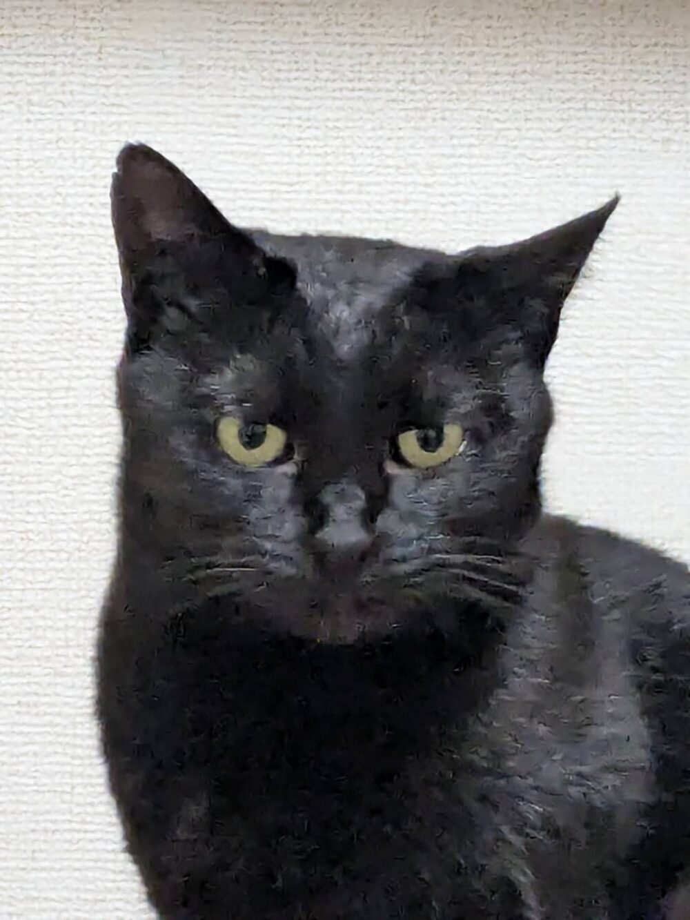 タクヤ