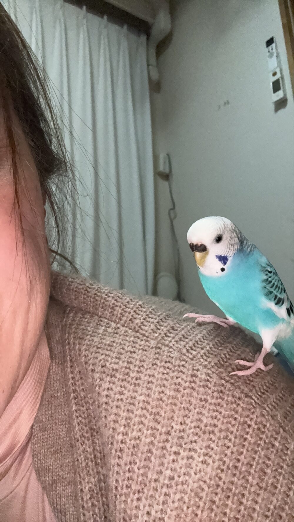 ラムネママ