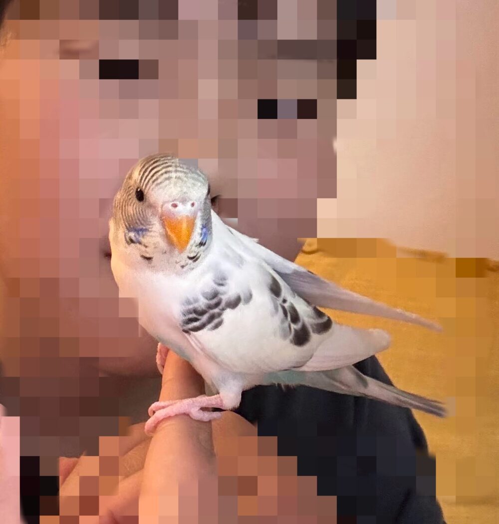 ともろ