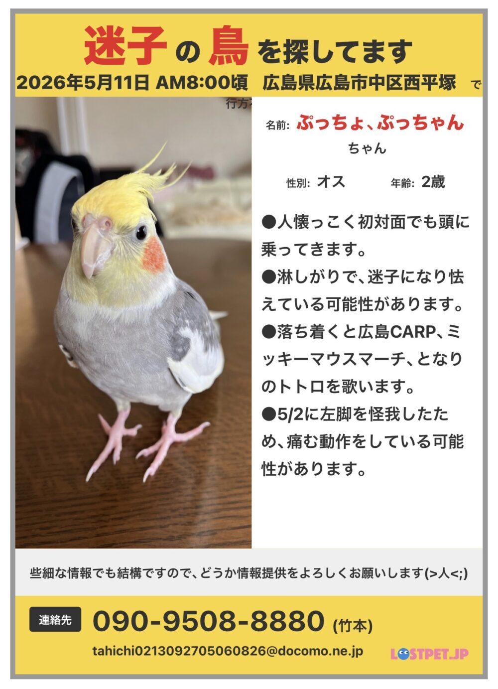 ぷっちゃん