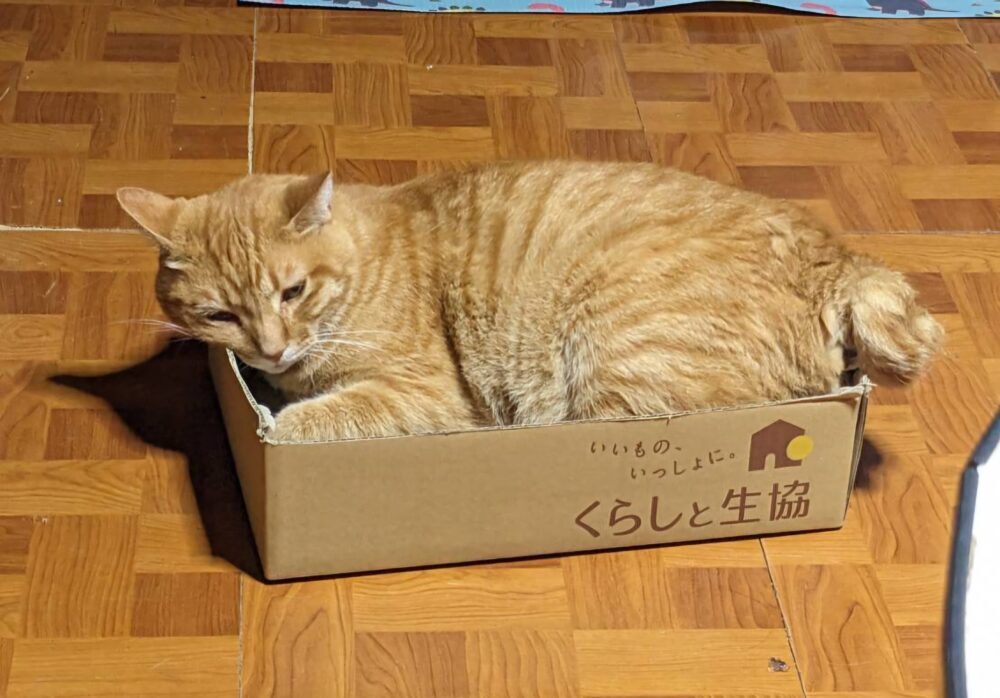 かな