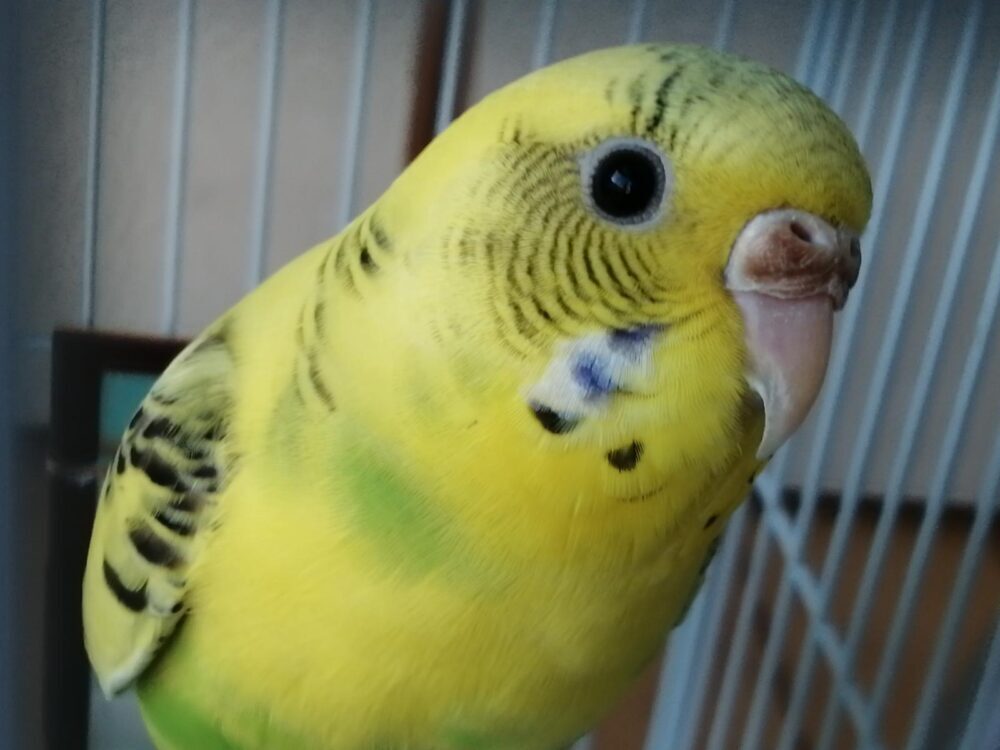 とゆ