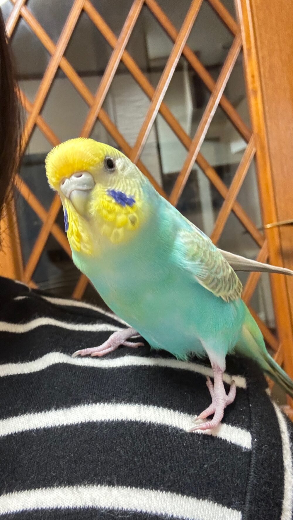 まぁ