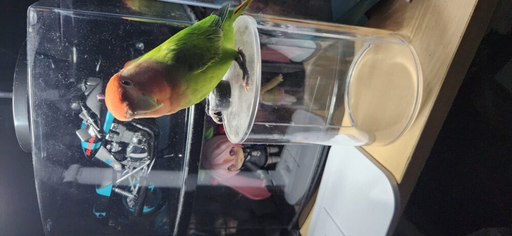 ほたるん