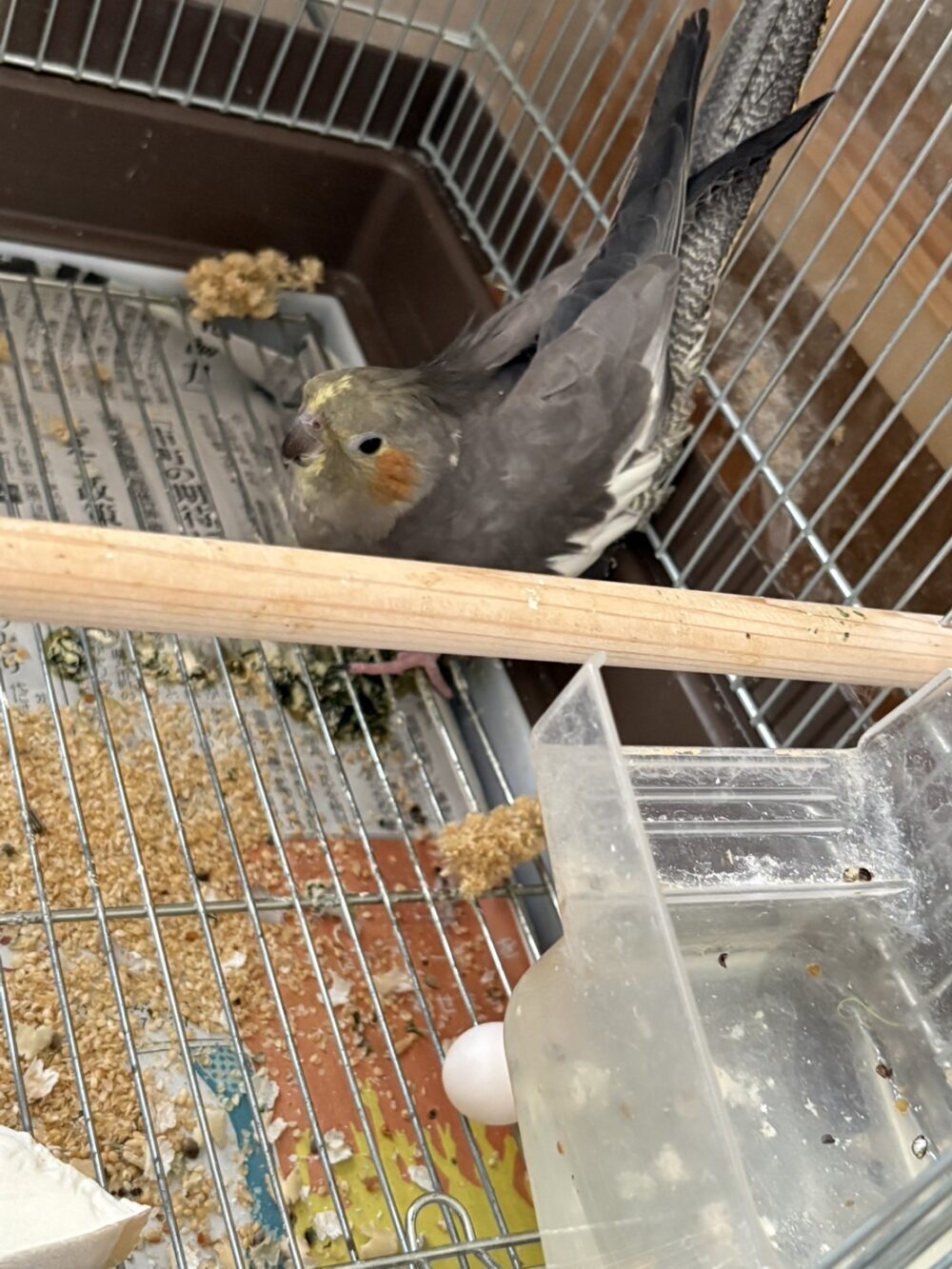 まさ