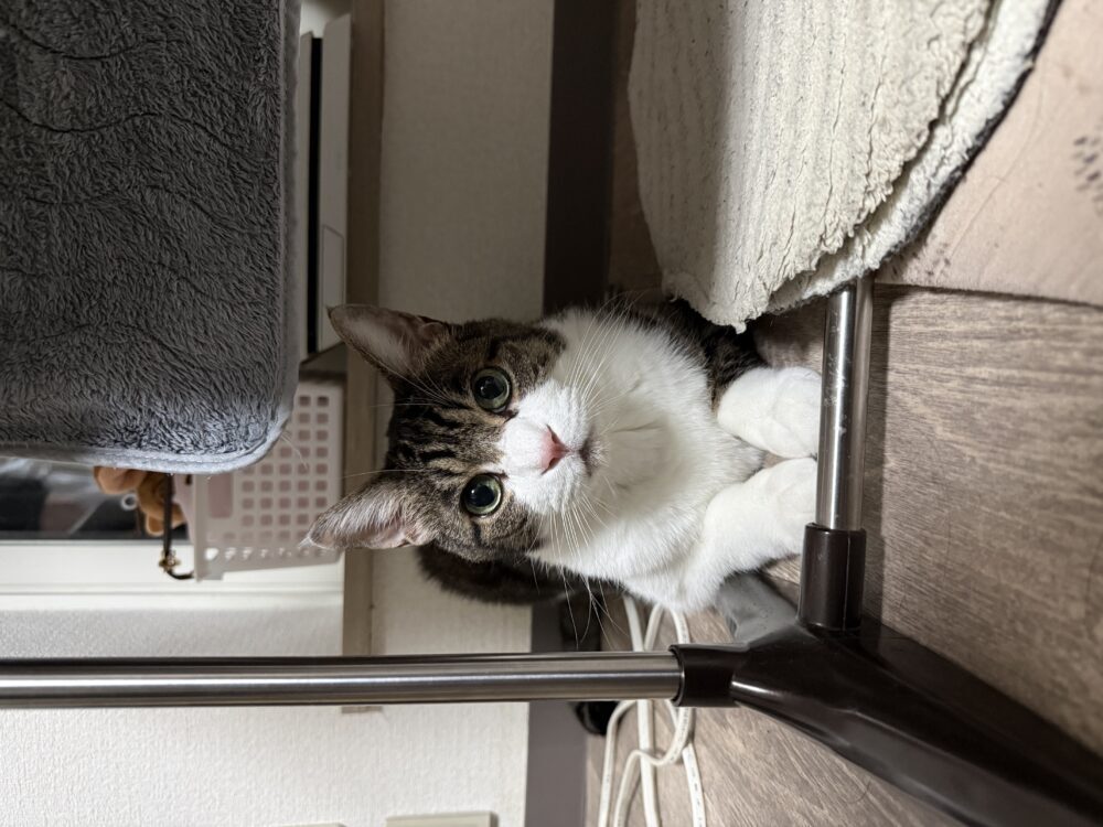 なあ