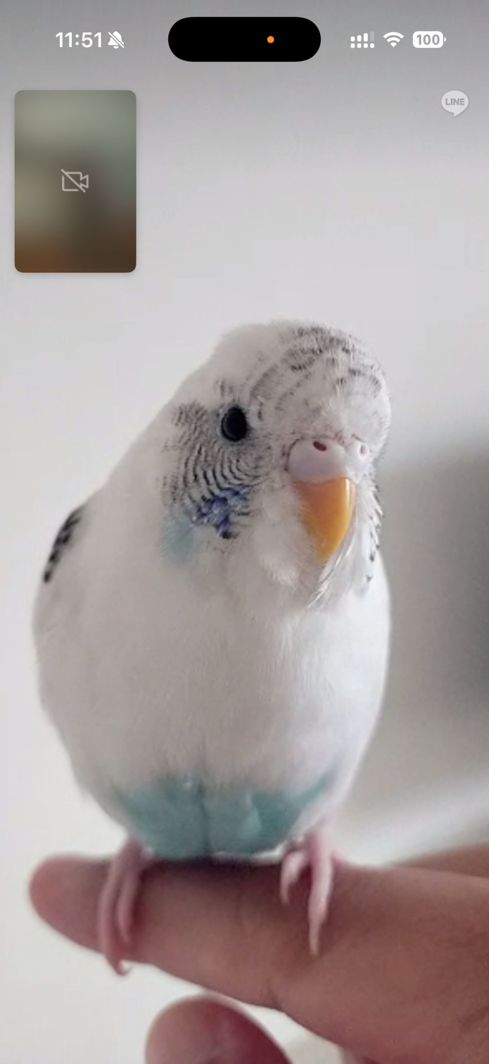 ノリスケ