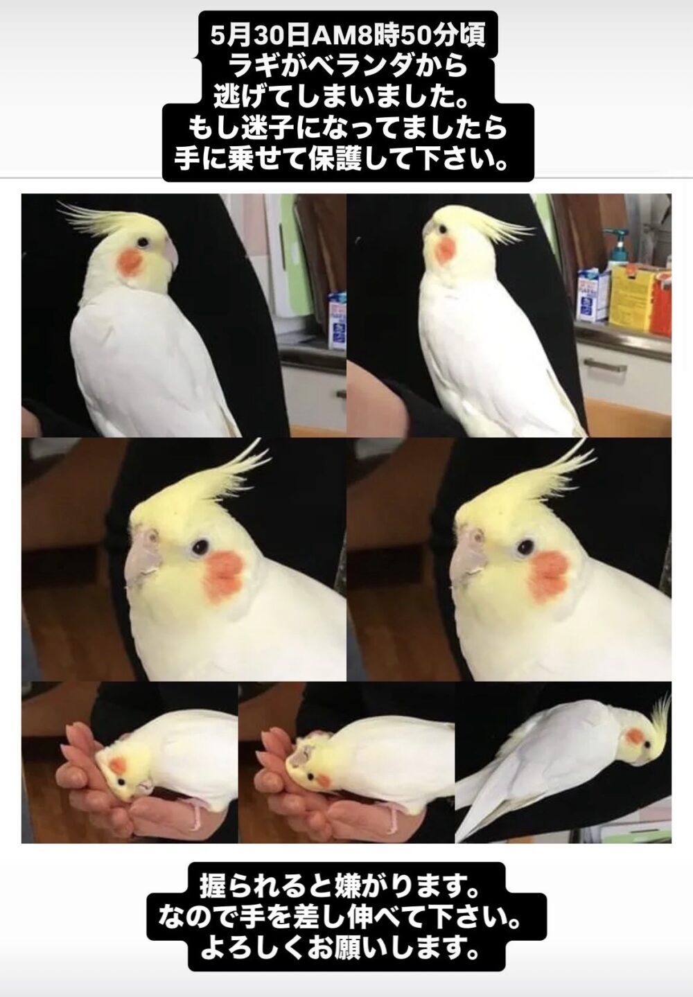 ラギ
