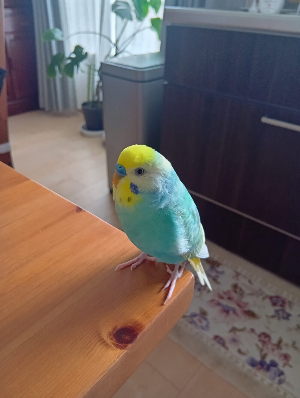 そら