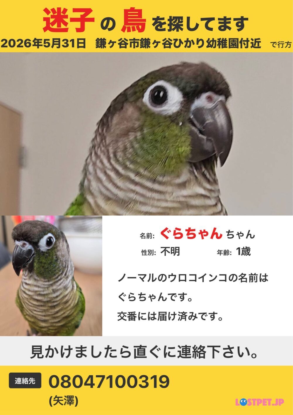 はるお