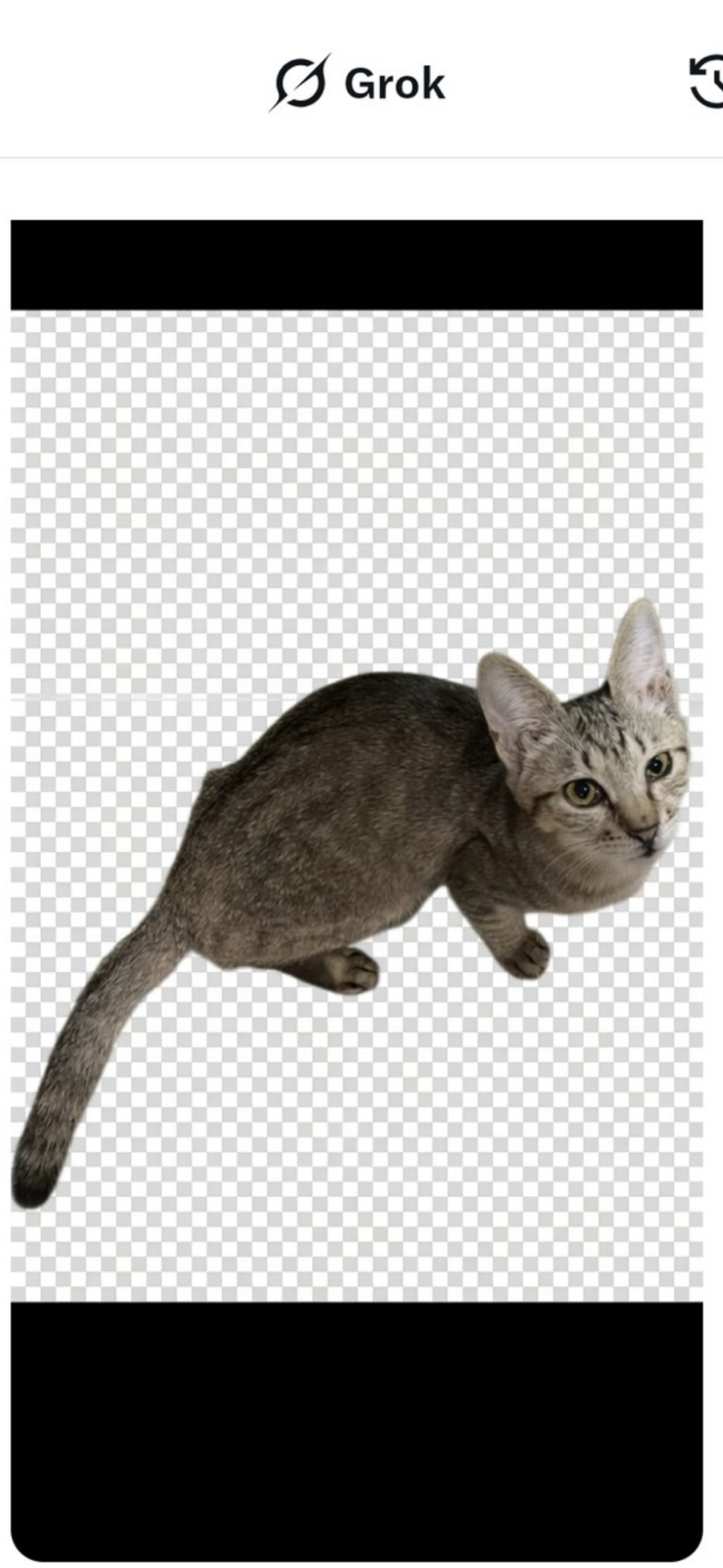 まいみゅう