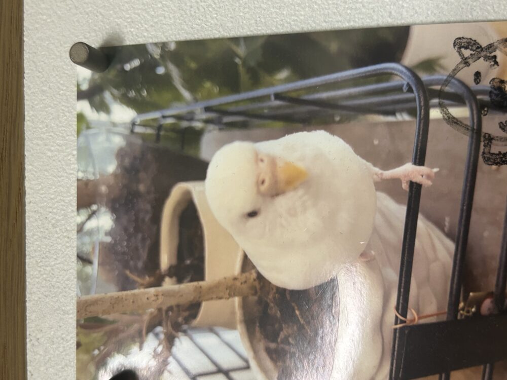コウイチ