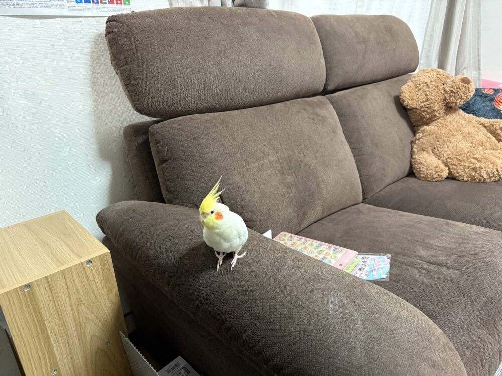 こと
