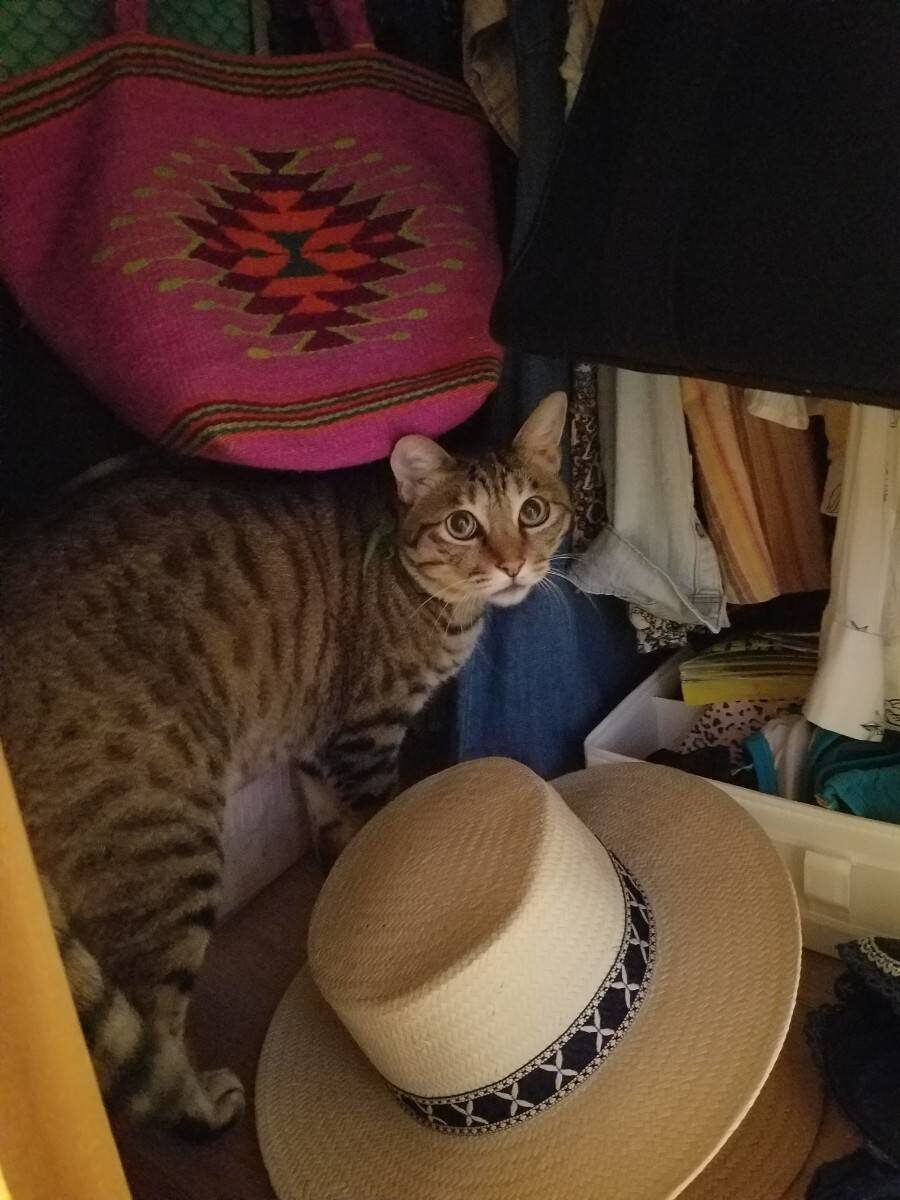みー
