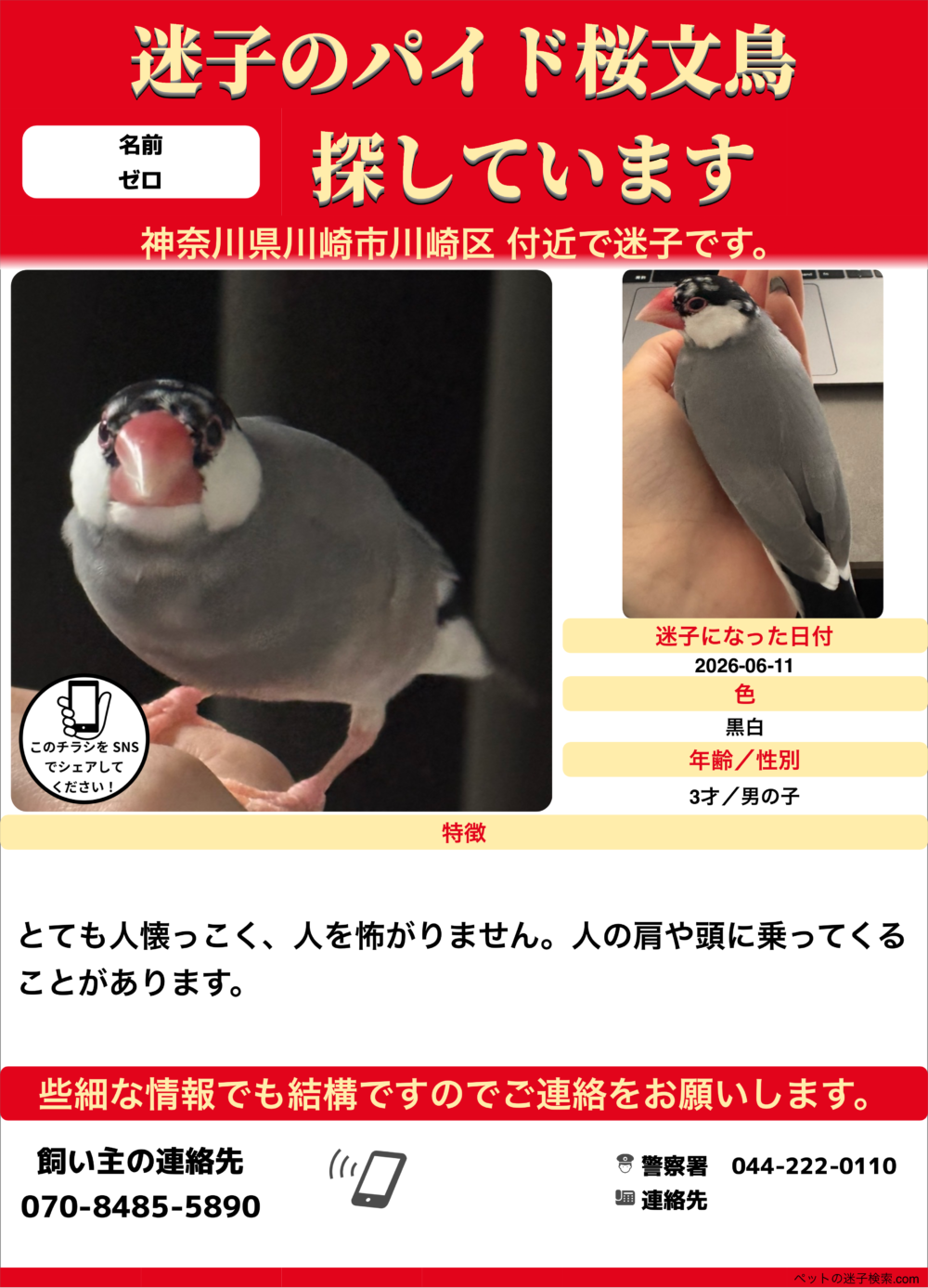 ゼロ