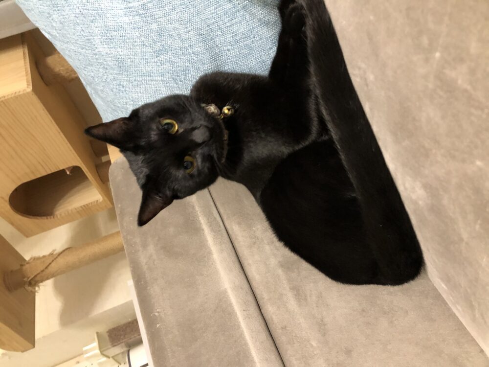 松本