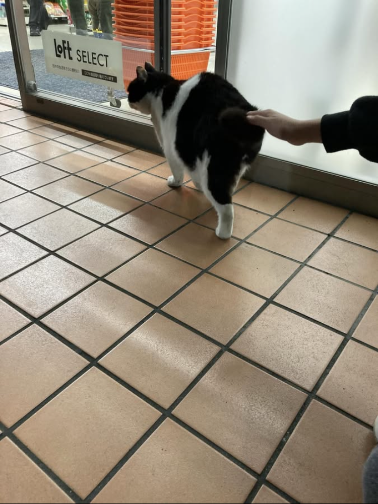 ししまる