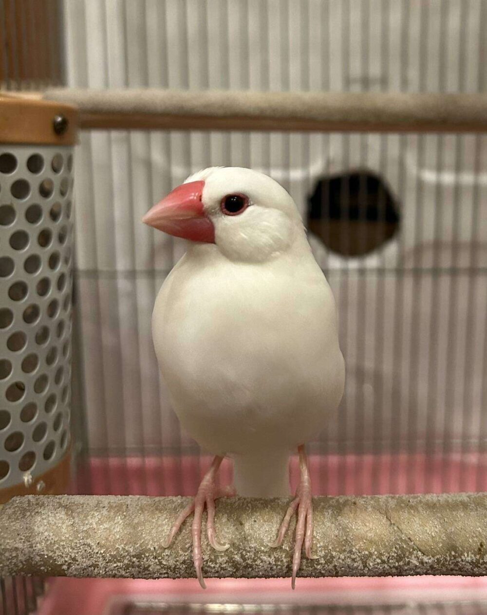 きゆ