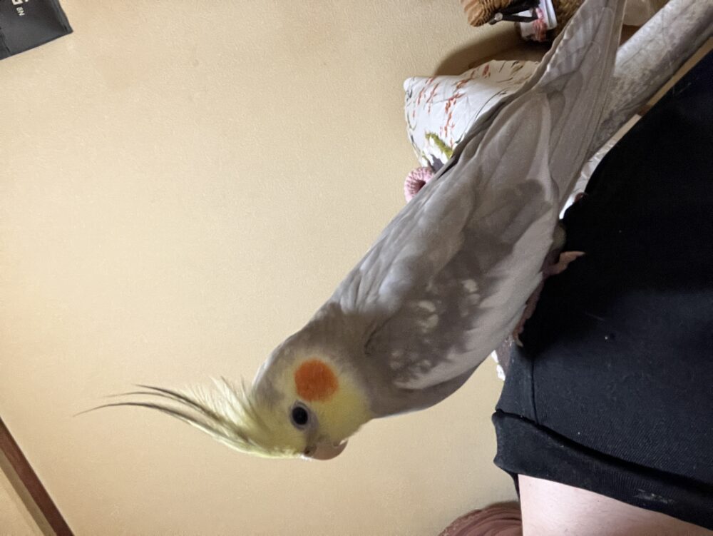 なお