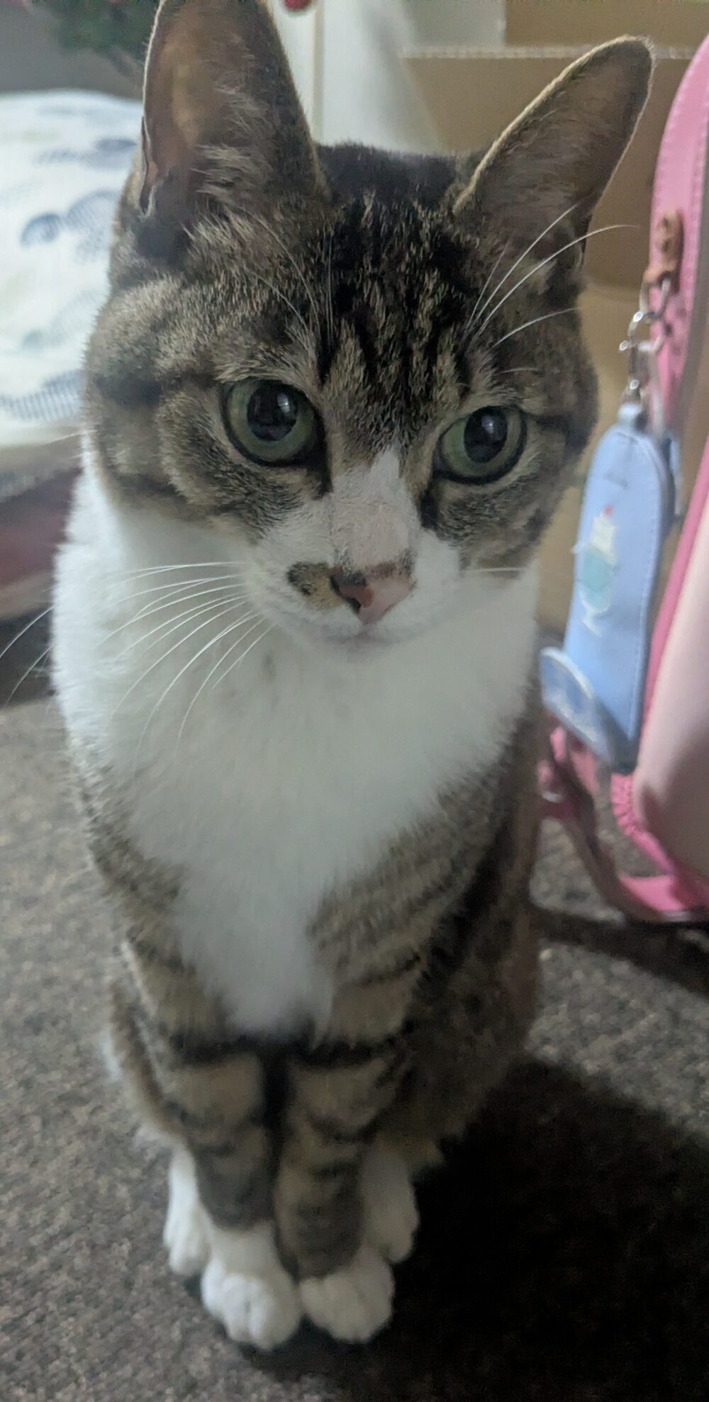 佐藤