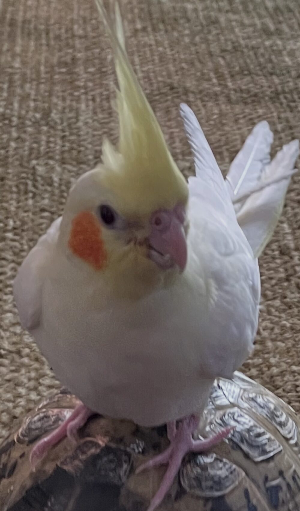 みなみ