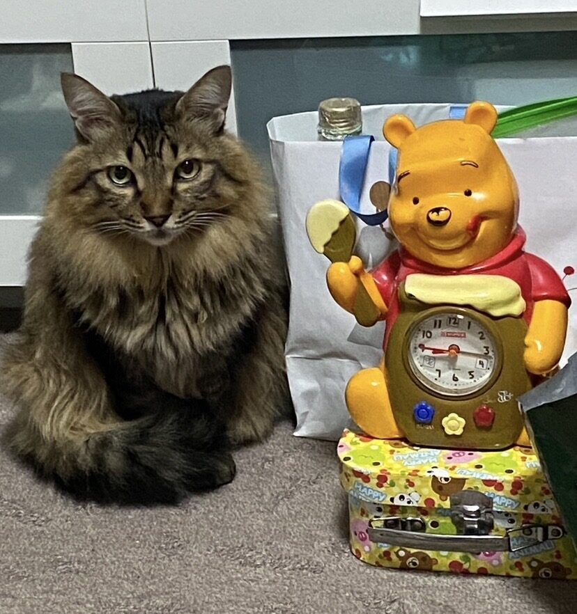 もっちー