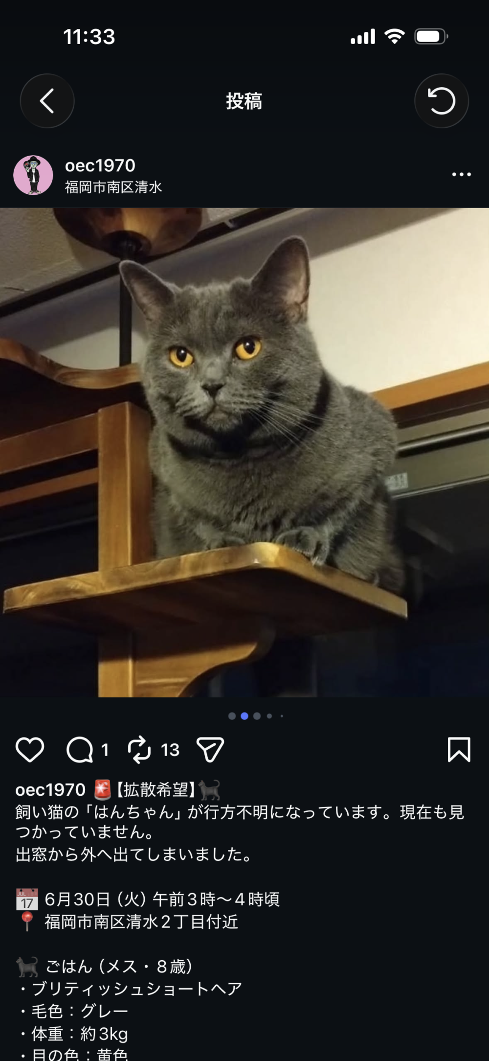 はんちゃん