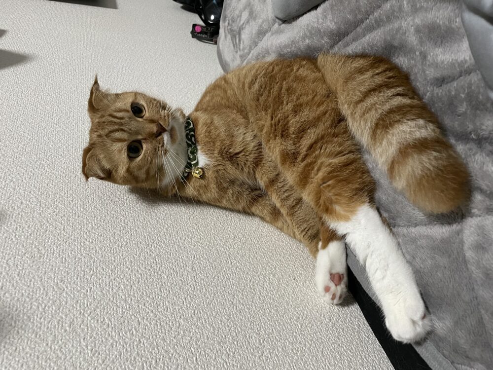 らら