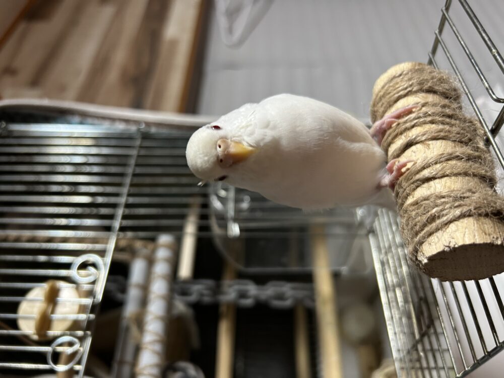も