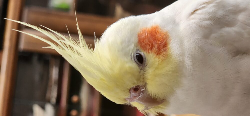 なかちゃん