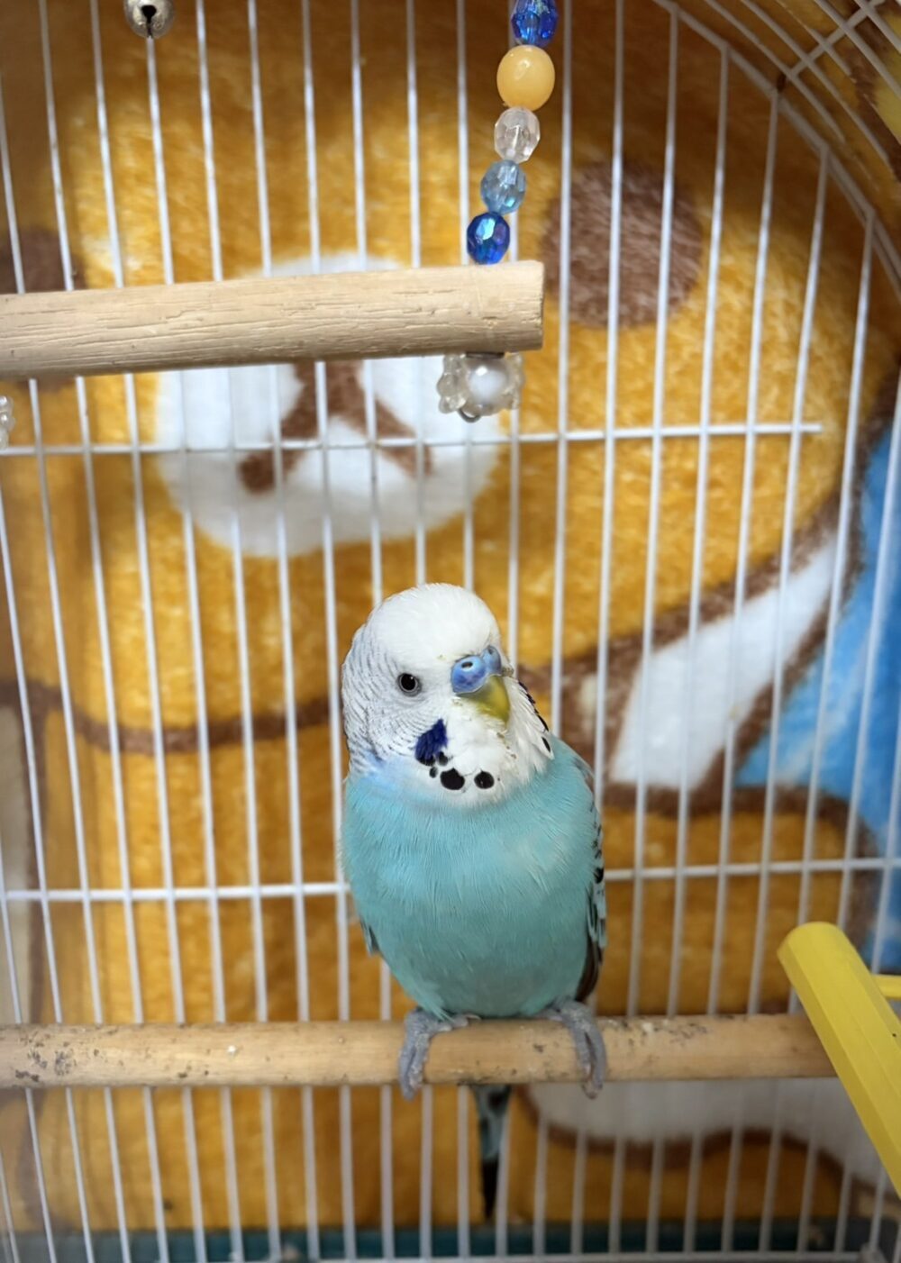 ポンズ