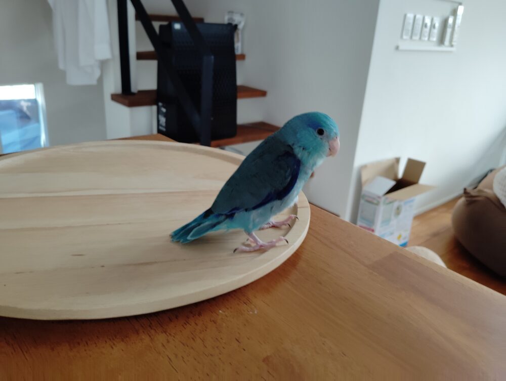 うるり母