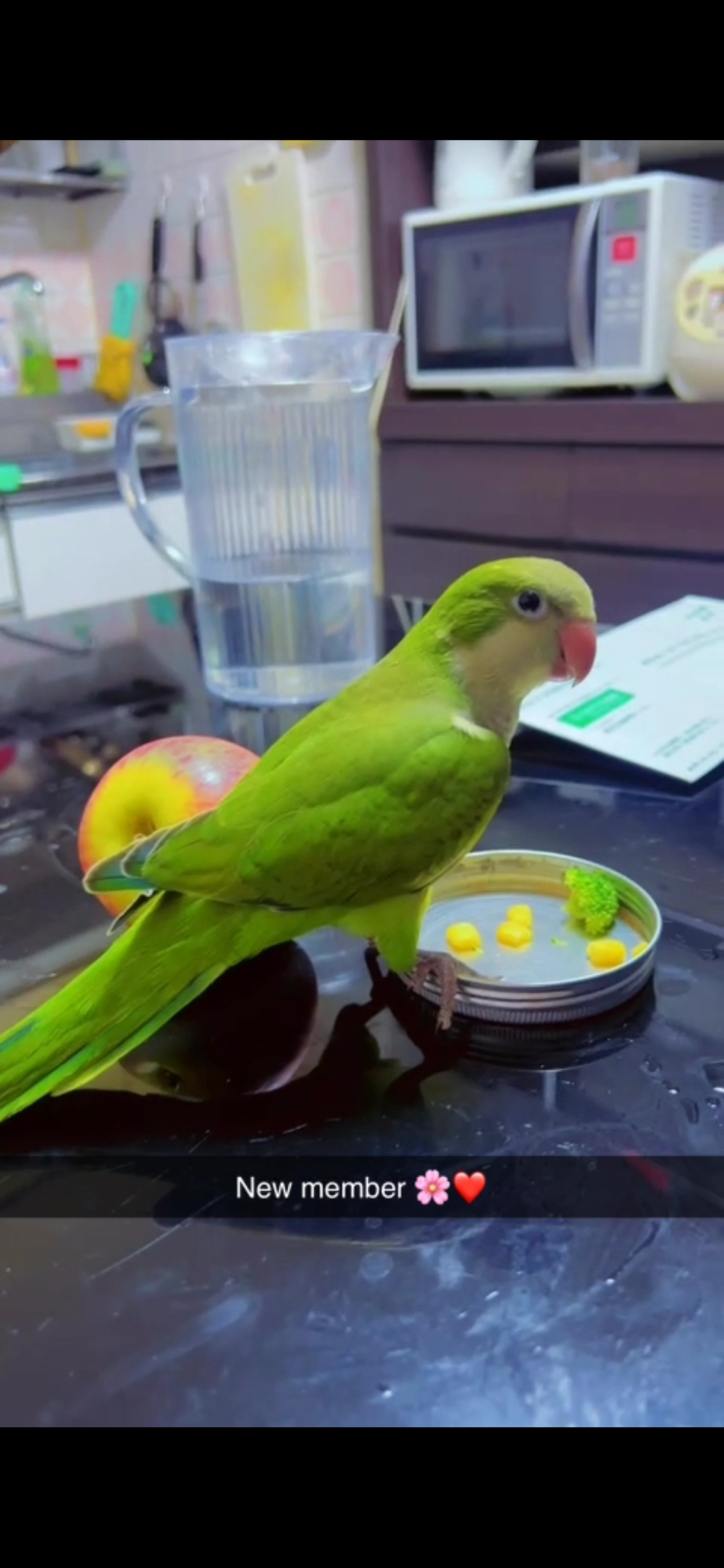 シヴァ