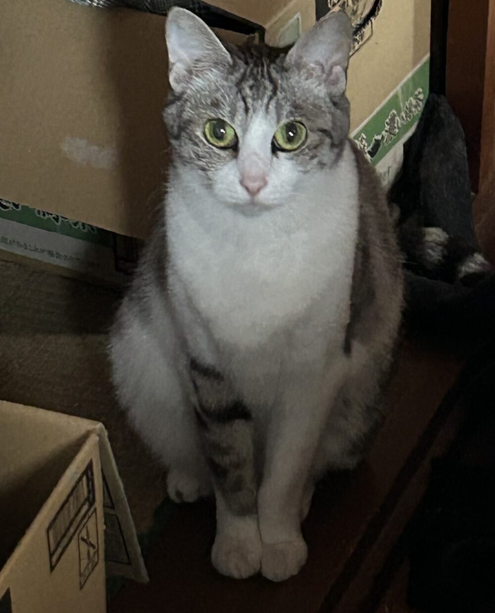 あああ