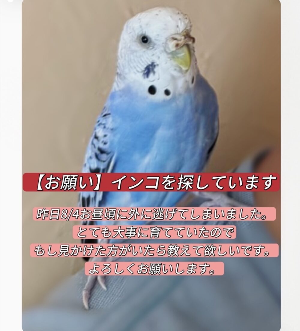 ぴーちゃん