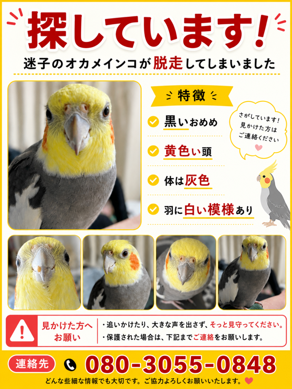 ひらが