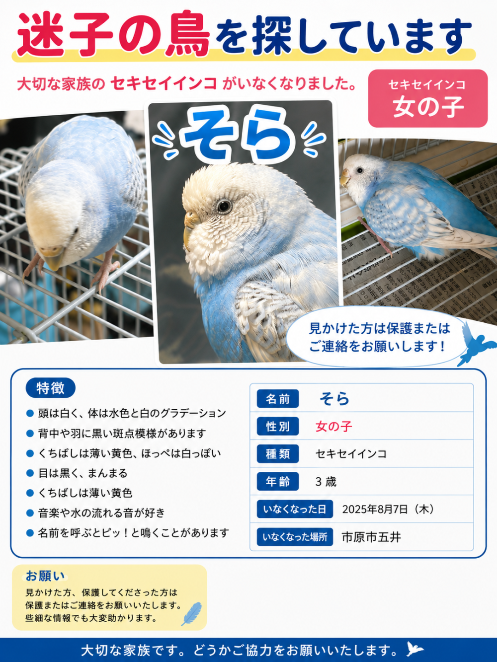 はわはわ