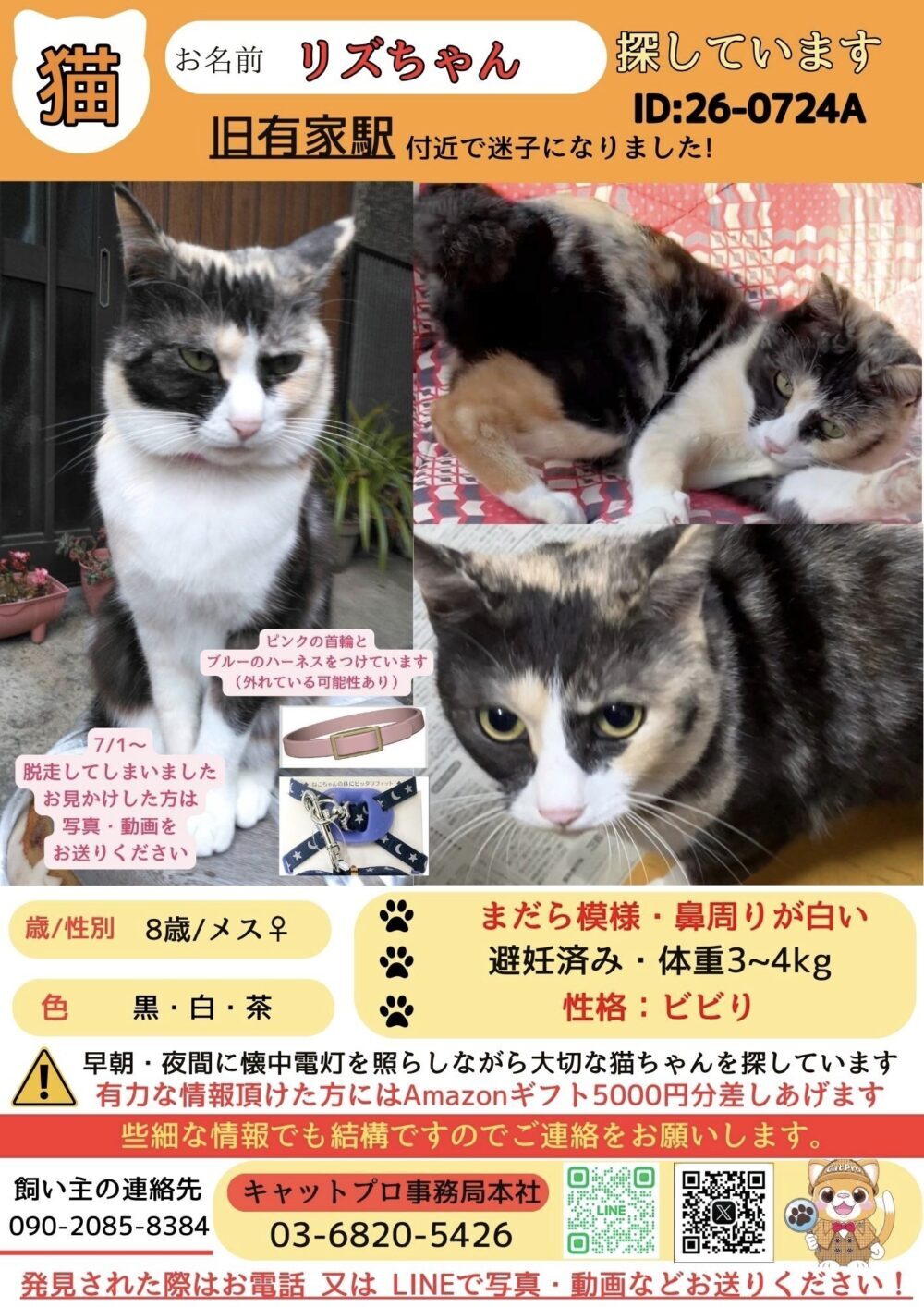 Miya