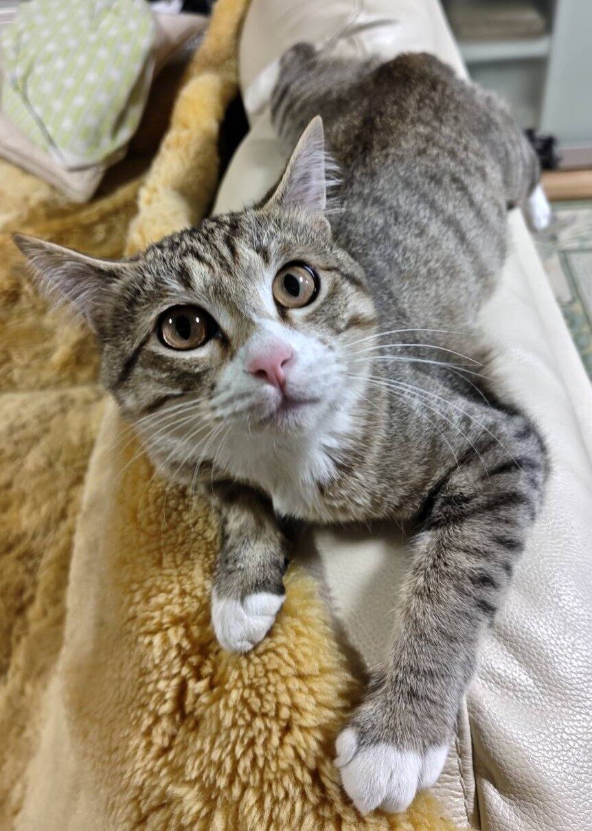 にと