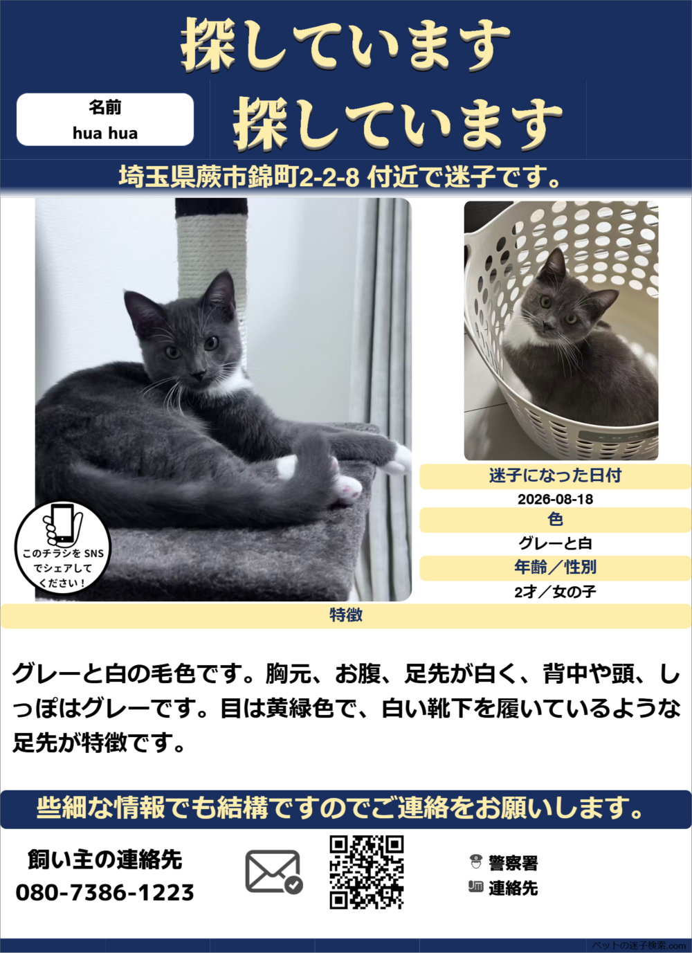 りゅう