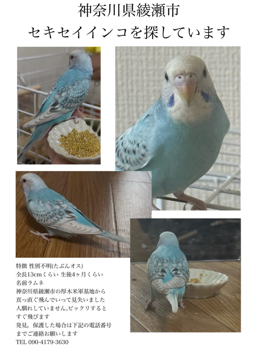 はない