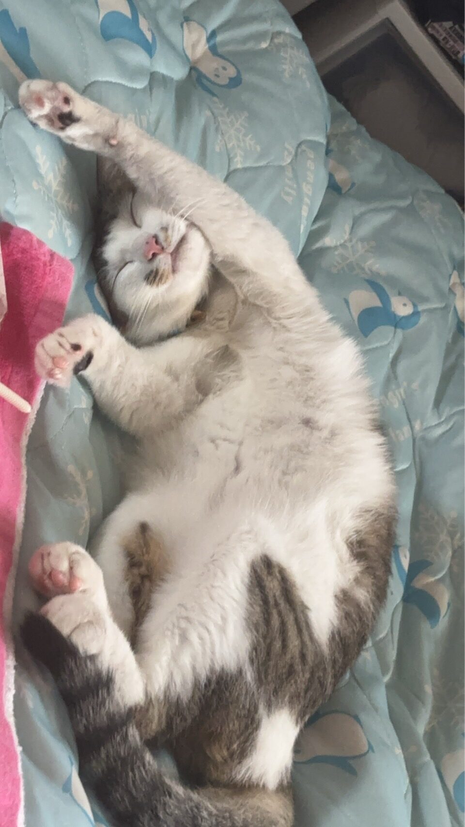 KJ