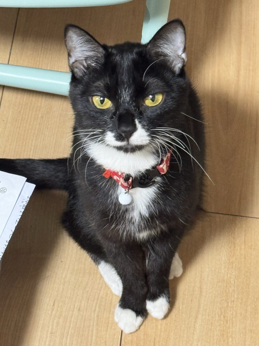 なかお