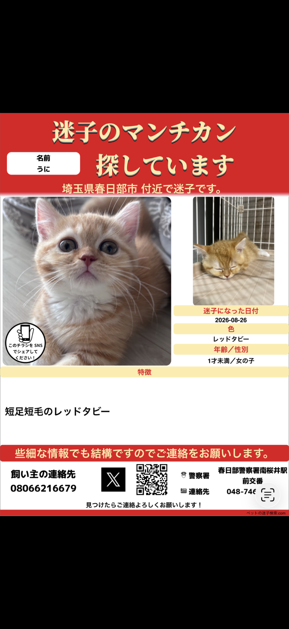 しょうた