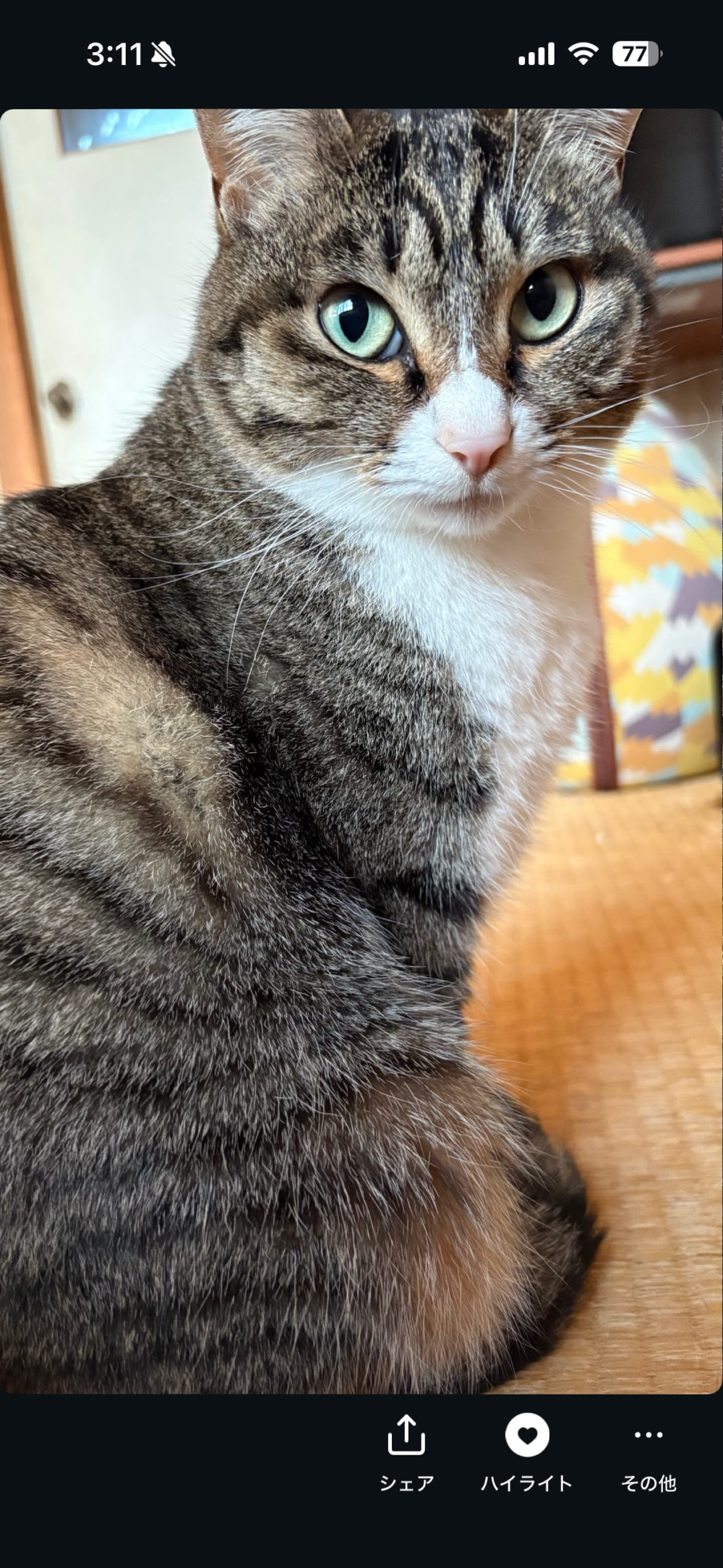 じゅ