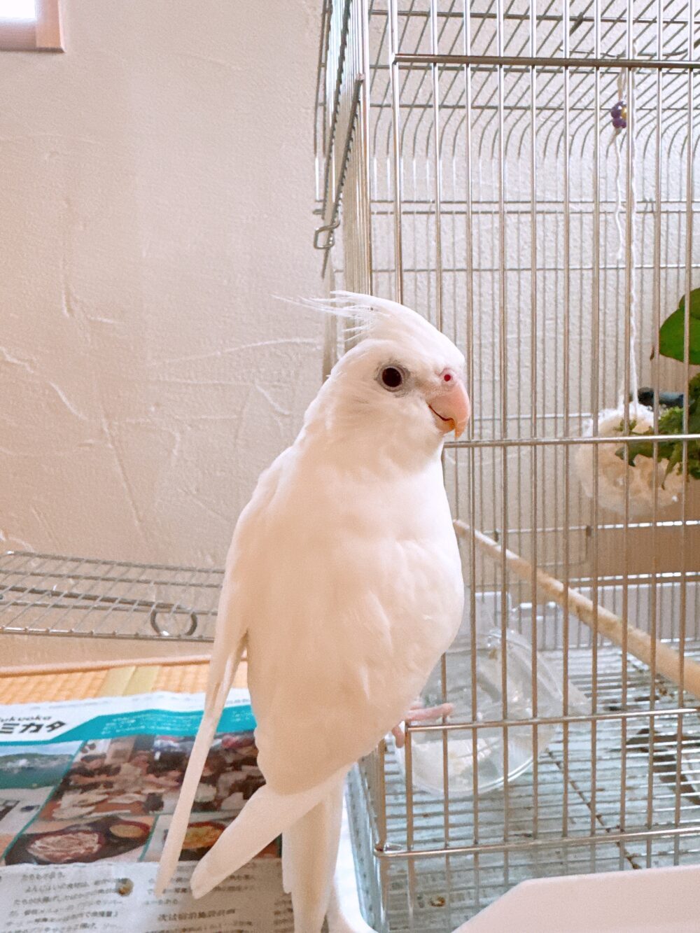 みや