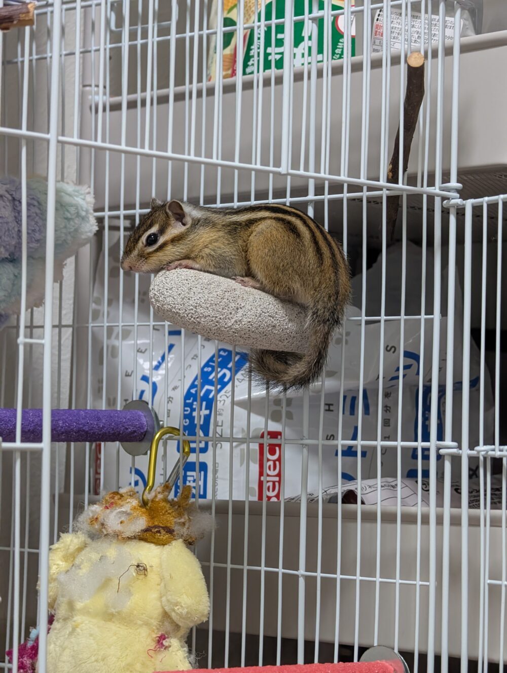 えむ