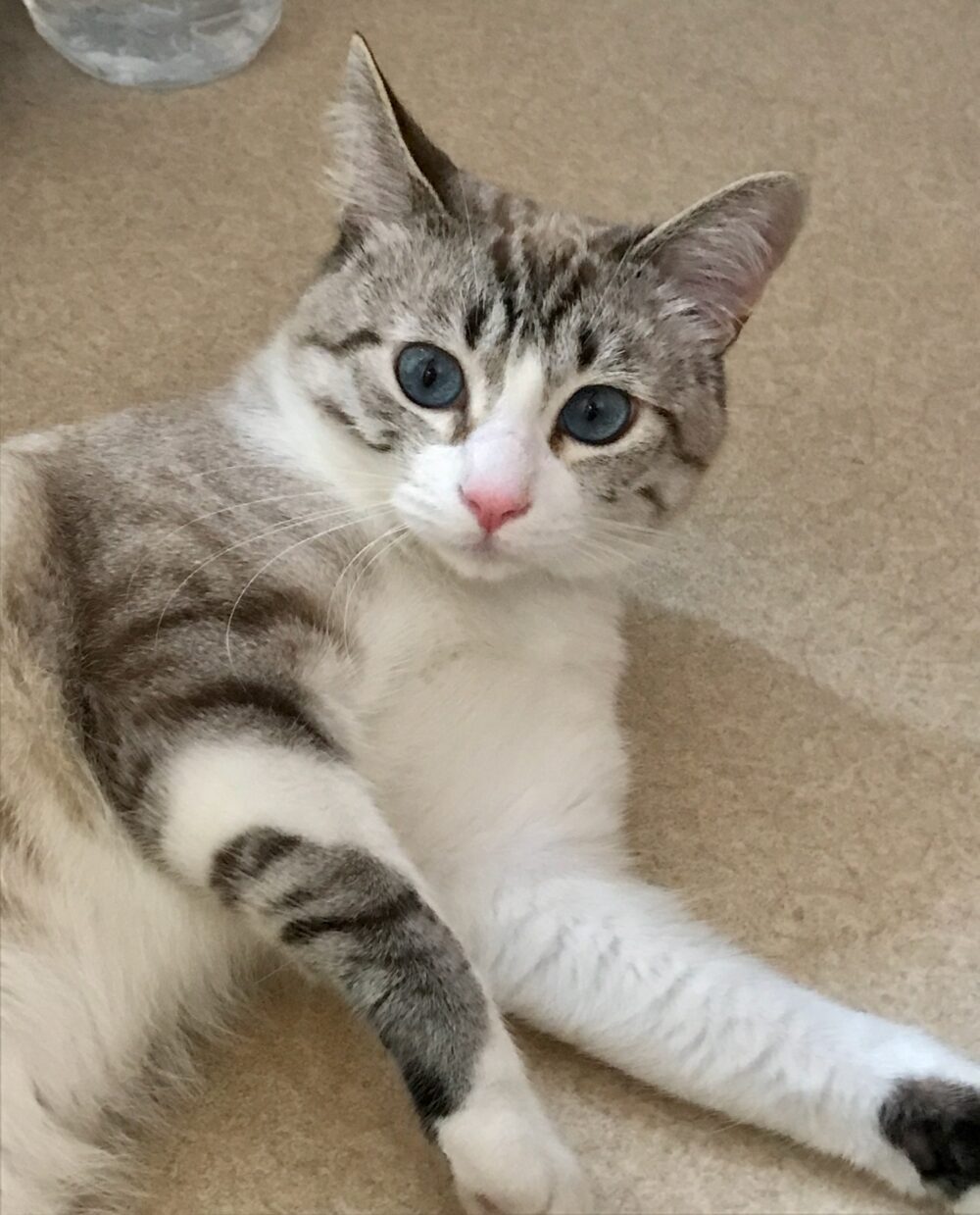 yuko