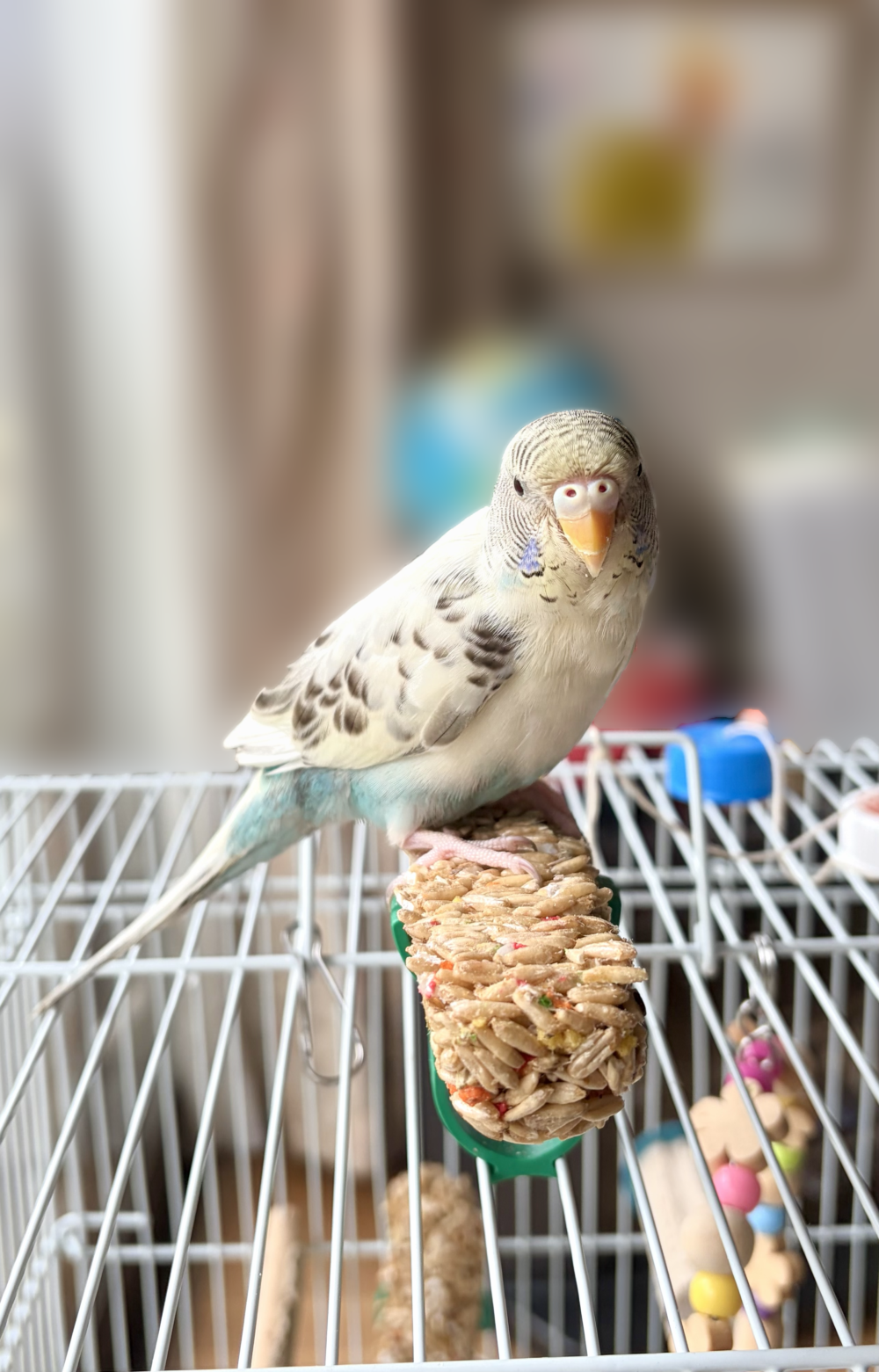 ゆに